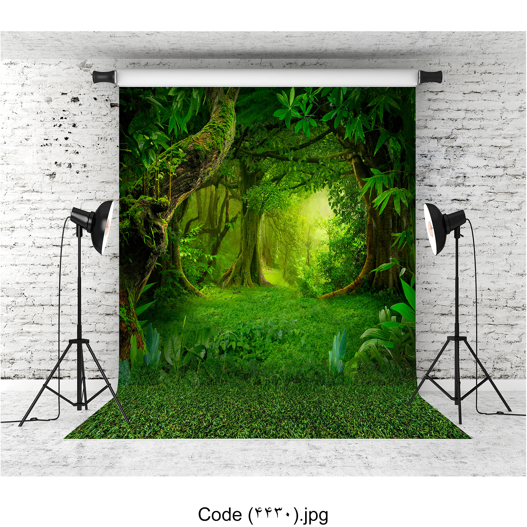 بکدراپ جنگل 4430