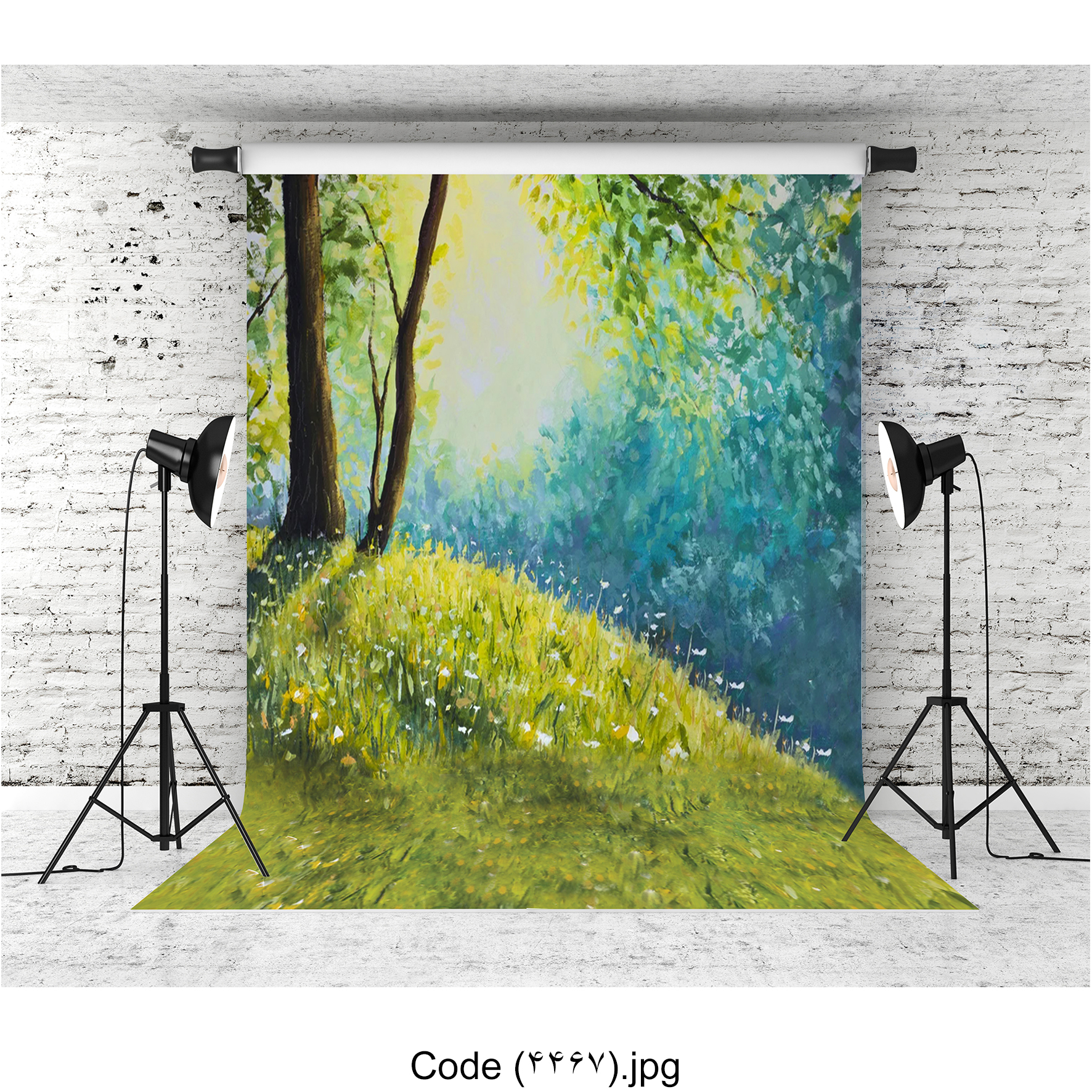 بکدراپ جنگل 4467