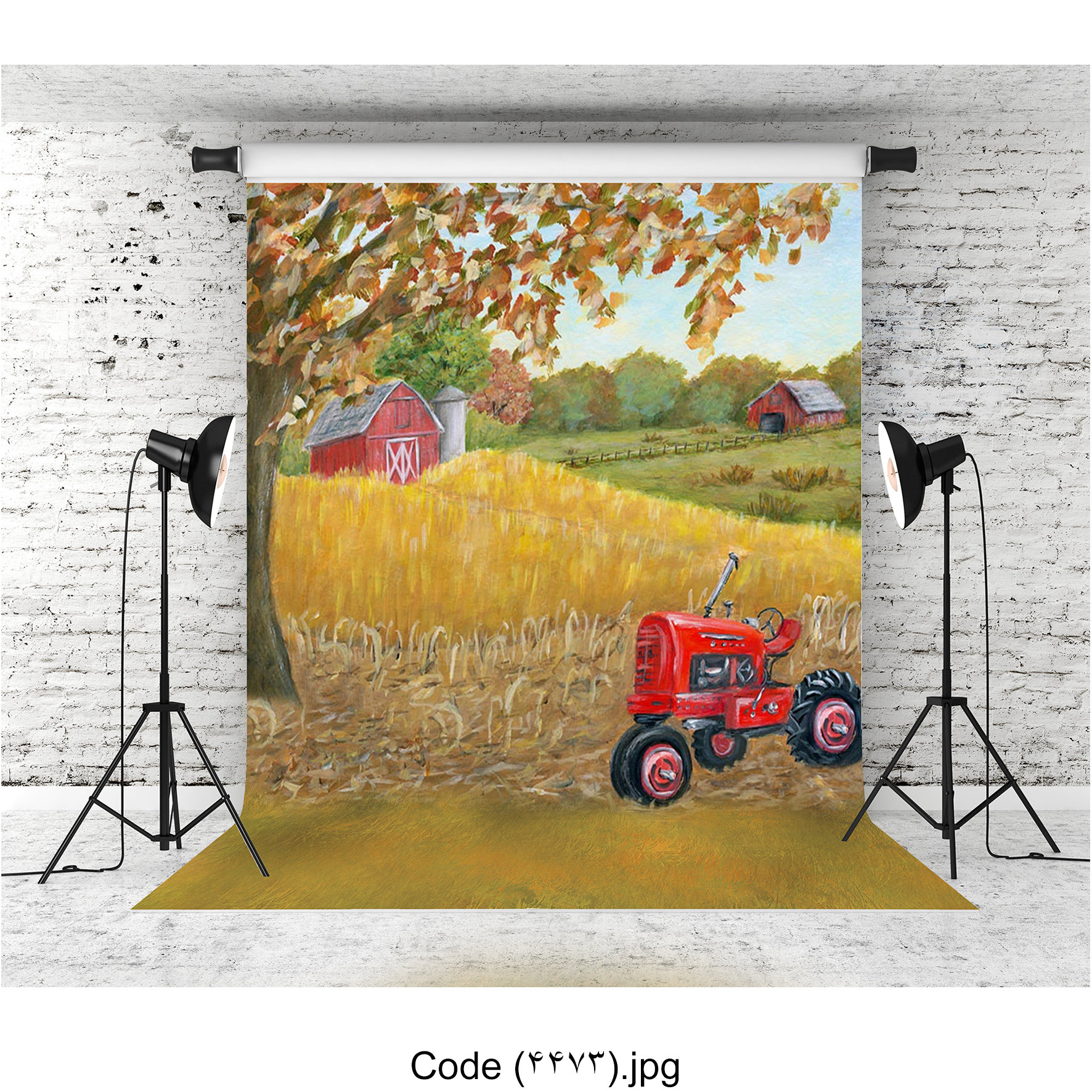 بکدراپ جنگل 4473