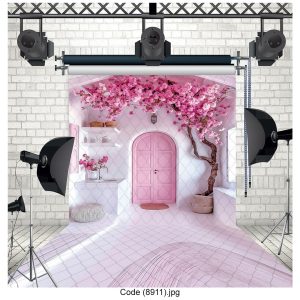 بکگراند عکاسی کد 8911