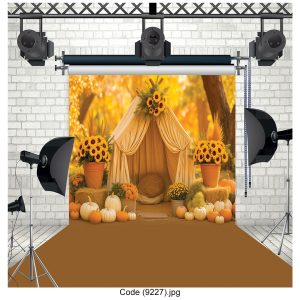 بکگراند عکاسی  کد 9227