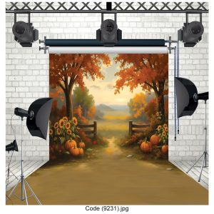 بکگراند عکاسی  کد 9231