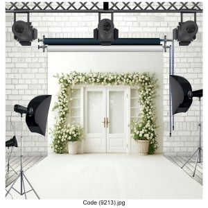 بکگراند عکاسی  کد 9213