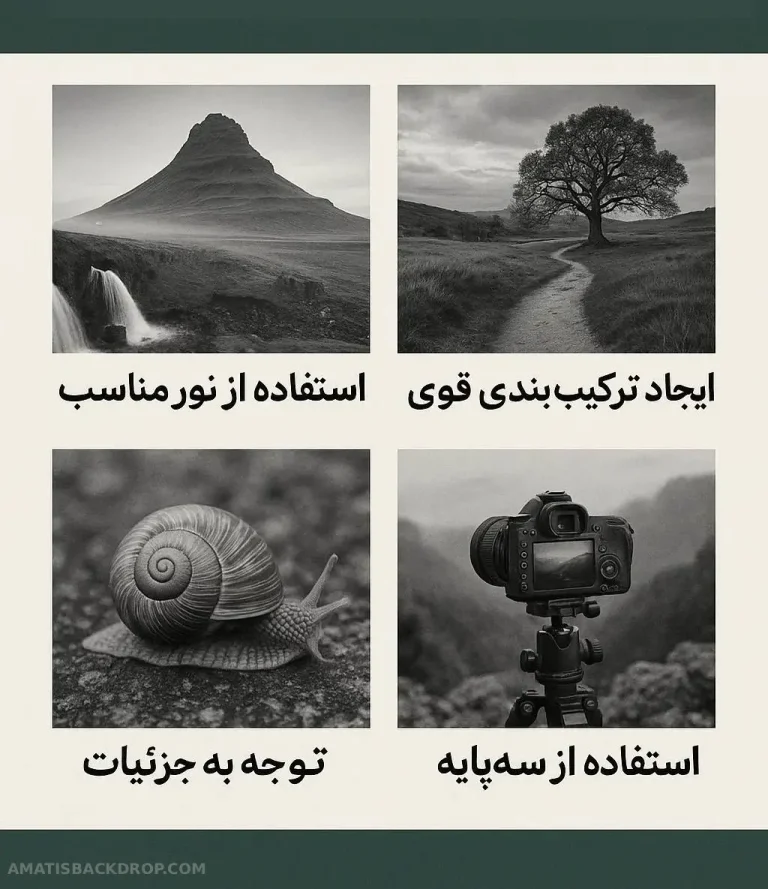 چگونه عکاسی از طبیعت را ارتقا دهیم  ، نکات و تکنیک‌های حرفه‌ای برای عکاسان طبیعت