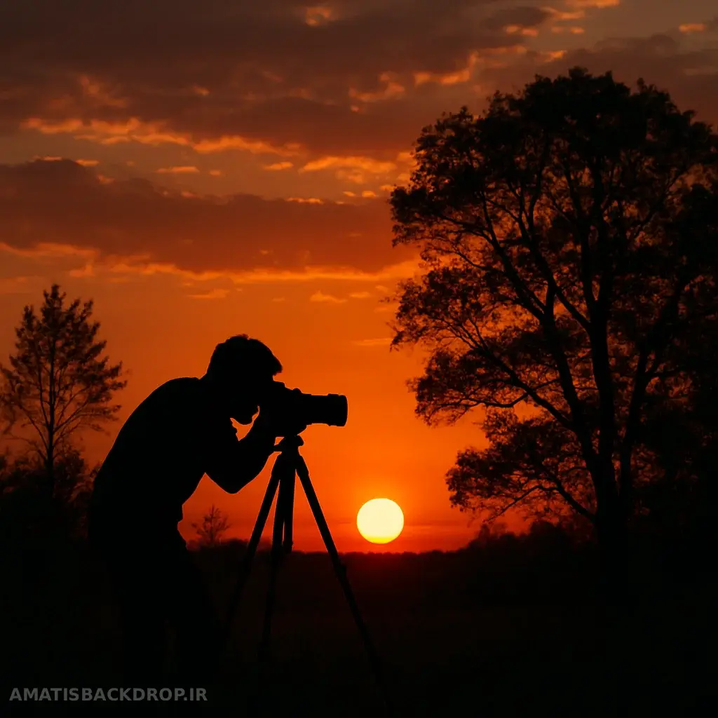 عکاسی از غروب خورشید در طبیعت با پس‌زمینه درختان
